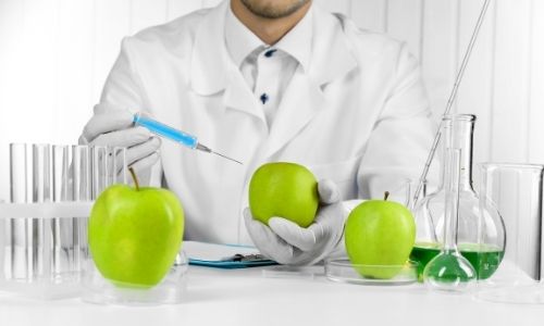 Apples Contain Polyphenols