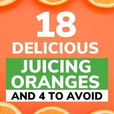 18 Best Nutritious Oranges for Juicing (and 4 to Avoid)