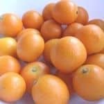 Byeonggul Korean Orange