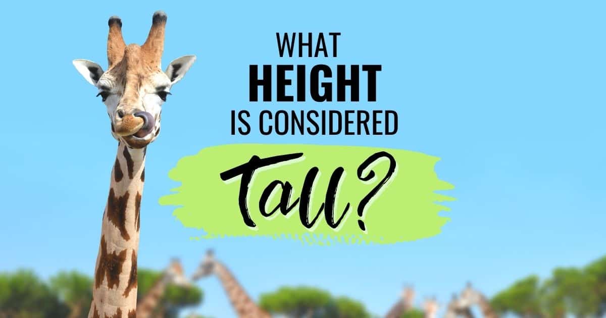 What Height Is Considered Tall A Helpful Guide Slim No Gym